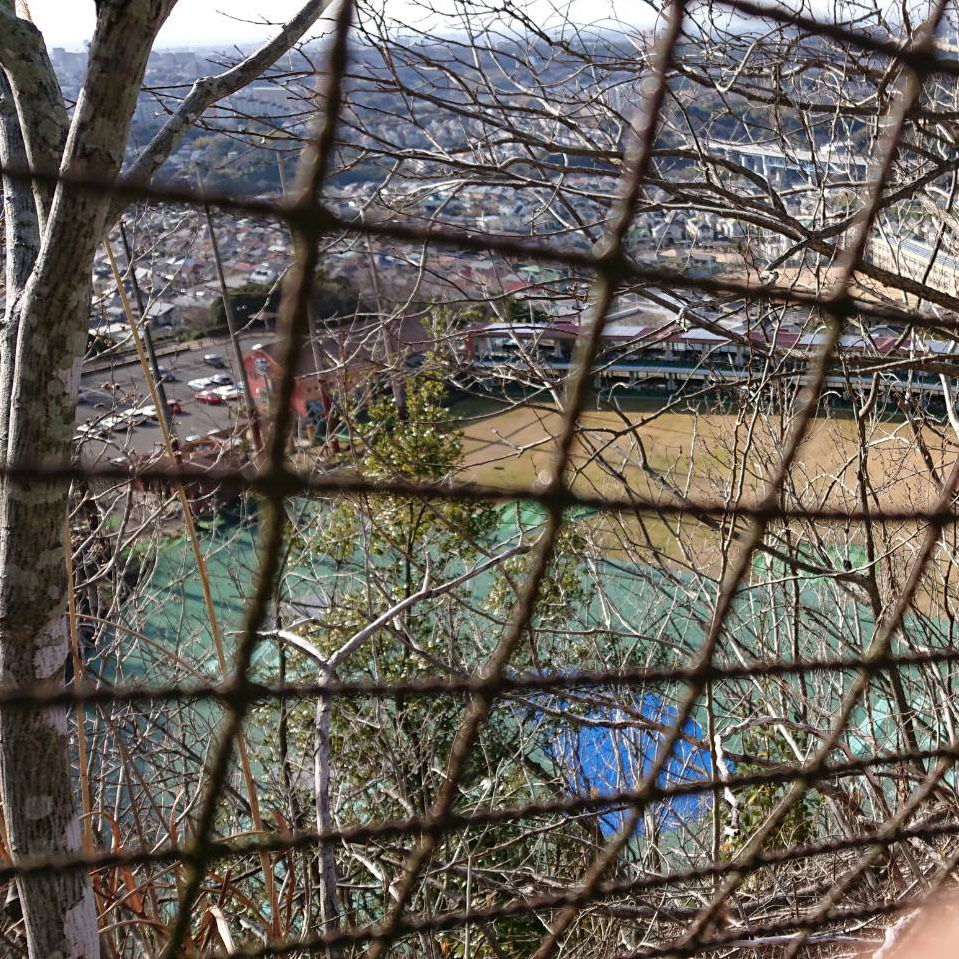 崖の上の家 探偵ファイル