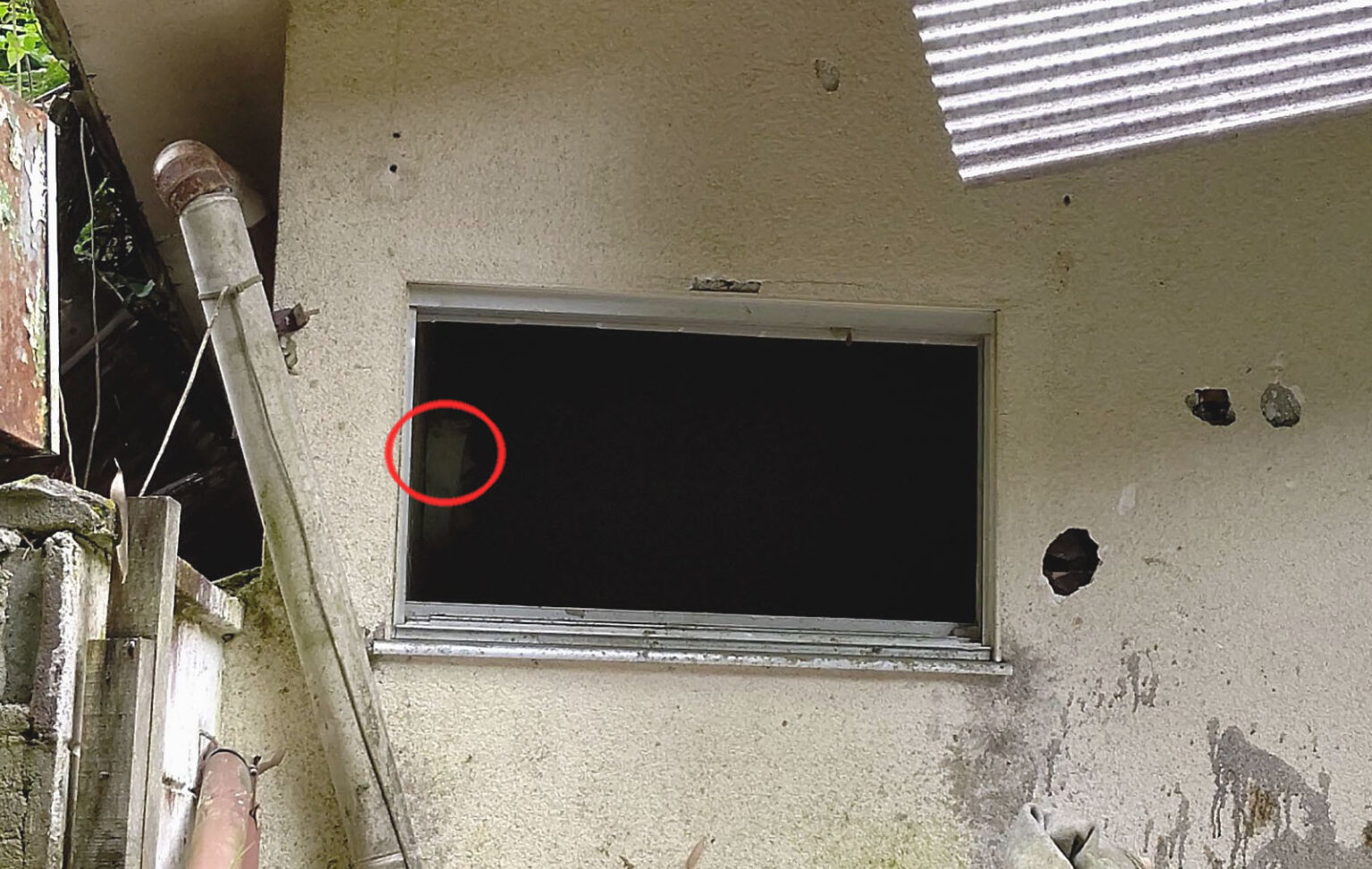 最悪の事故物件4 京都の幽霊ホテル サンリバー 探偵ファイル